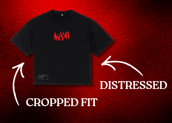 DEVISION®️ X KAKI BOXY TEE